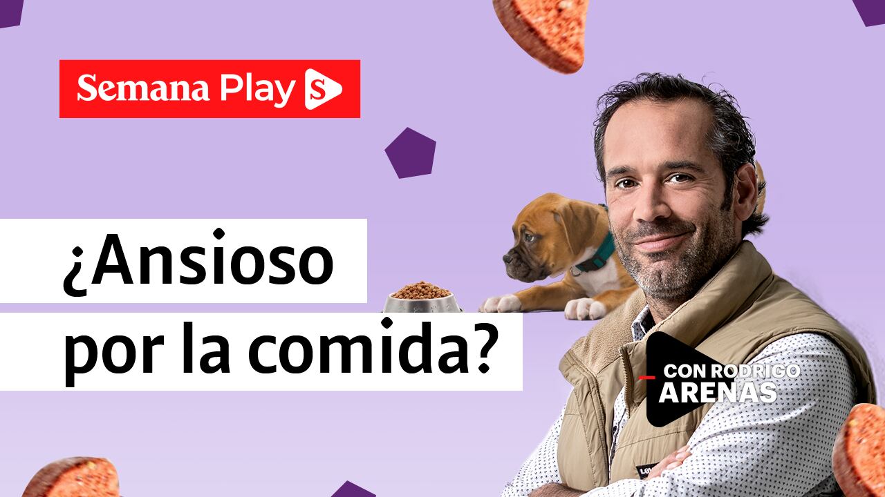 ¿Ansioso por la comida? | Rodrigo Arenas en EduCANdo Manadas