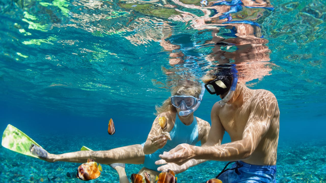 Turistas practicando snorkel.