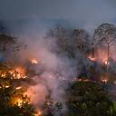 Hasta $24 billones de bienes podrían estar en riesgo con un calentamiento de
2,5 °C.