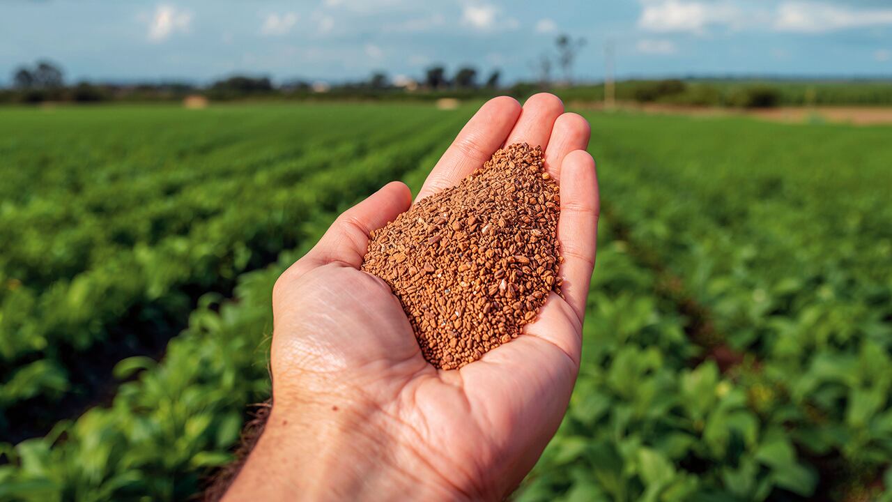 El costo de los fertilizantes es determinante en el precio de los alimentos.