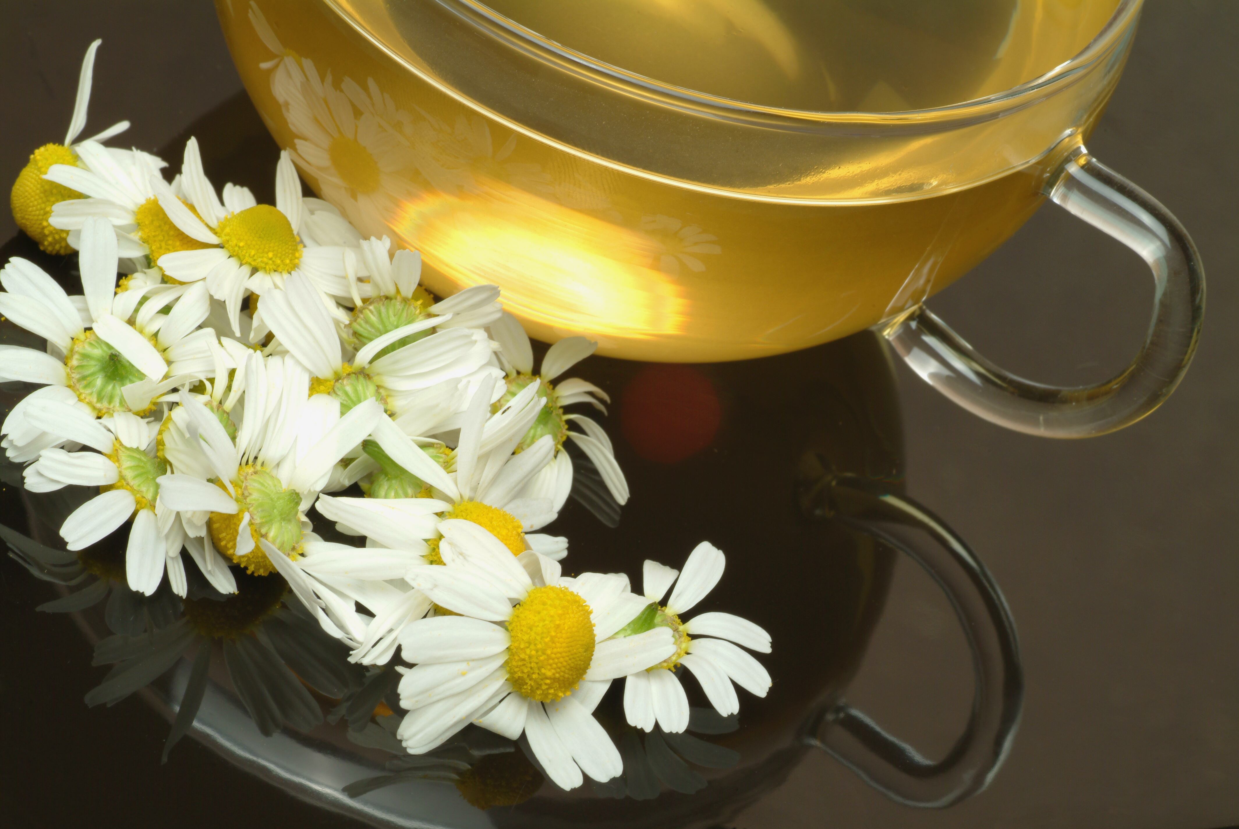 El té de manzanilla trae muchos beneficios para la salud