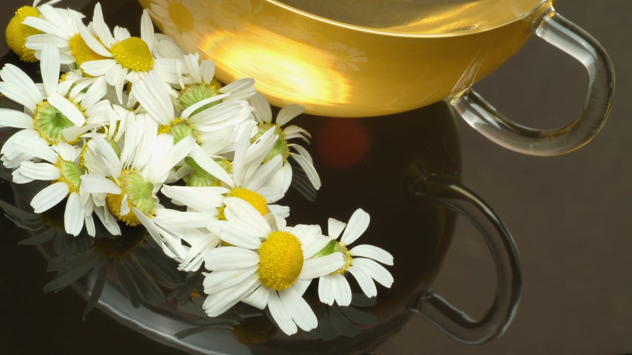 La manzanilla trae muchos beneficios para la salud.