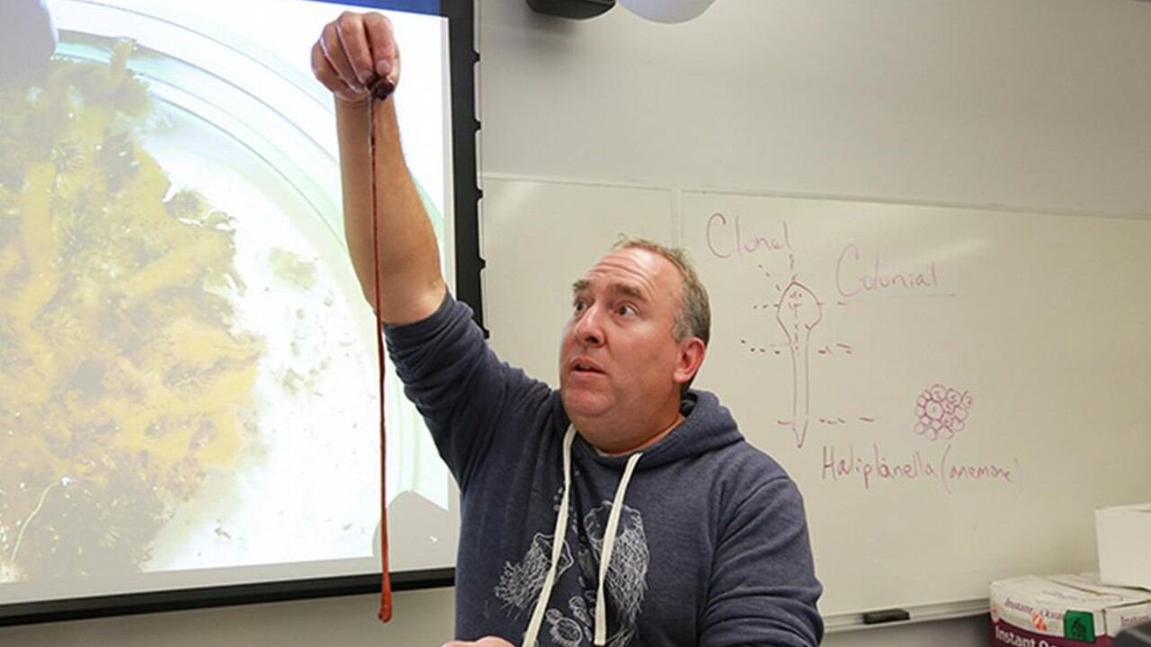 Jon Allen muestra a Baseodiscus el Mayor durante una clase.