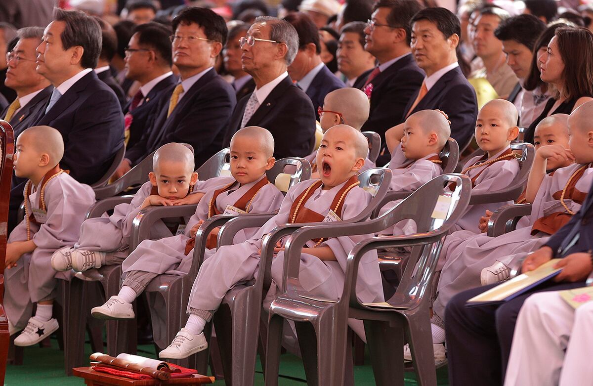Un niño de cabeza rapada bosteza durante la celebración del cumpleaños número 2.559 de Buda, en el templo Chogye de Seúl, Corea del Sur. Los budistas oran para la unificación entre Corea del Sur y Corea del Norte. (AP/Ahn Young-joon)