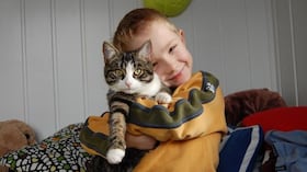 Convivencia entre gatos y niños