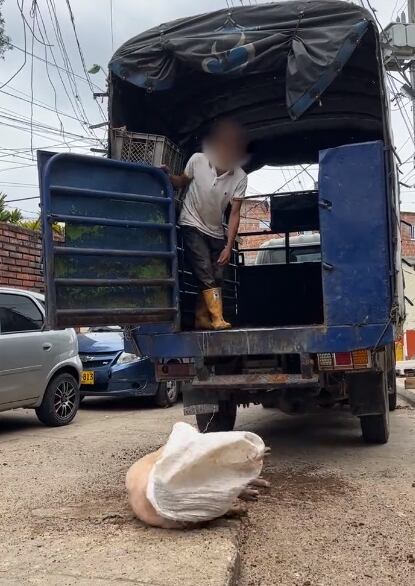 Autoridades aseguran que el hombre será sancionado.