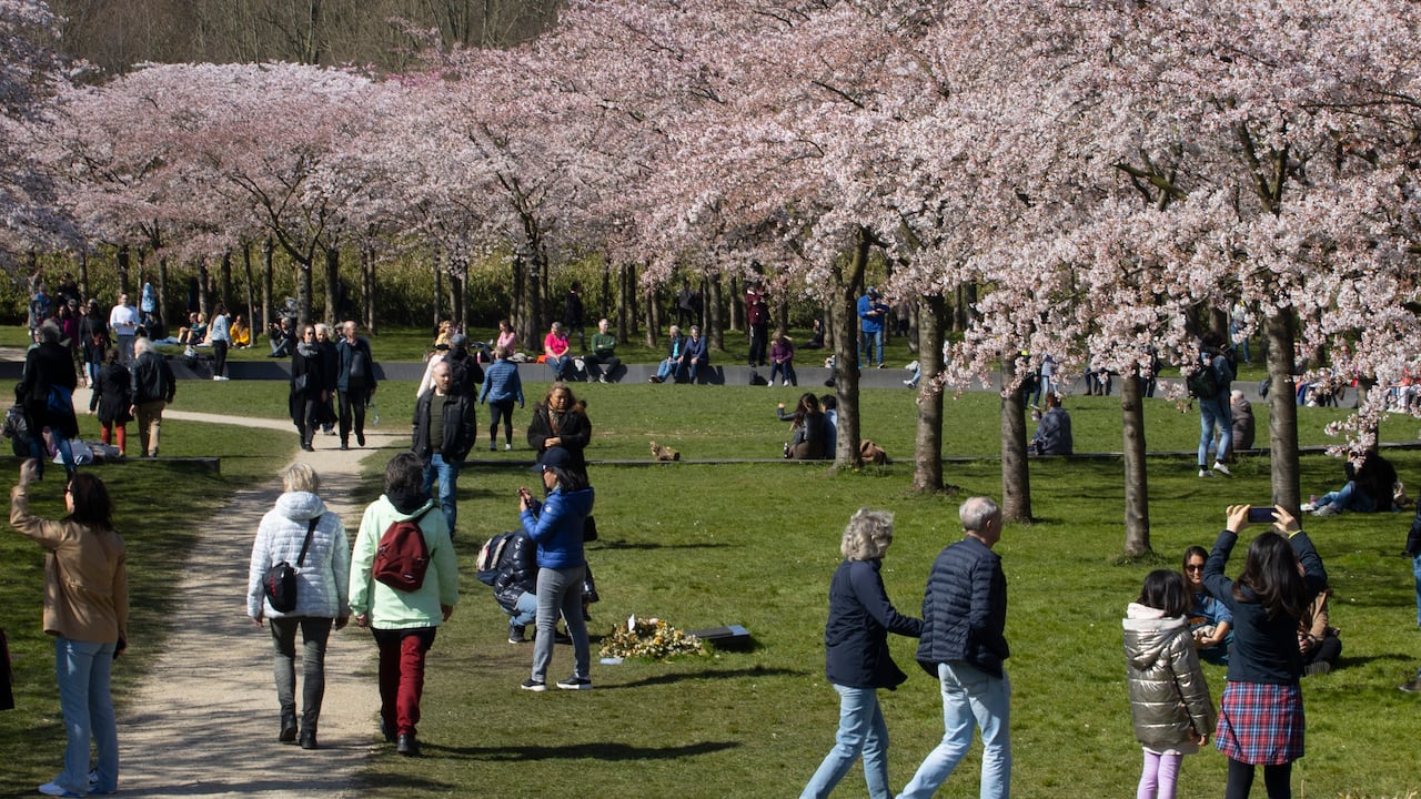 (AP Photo/Peter Dejong)