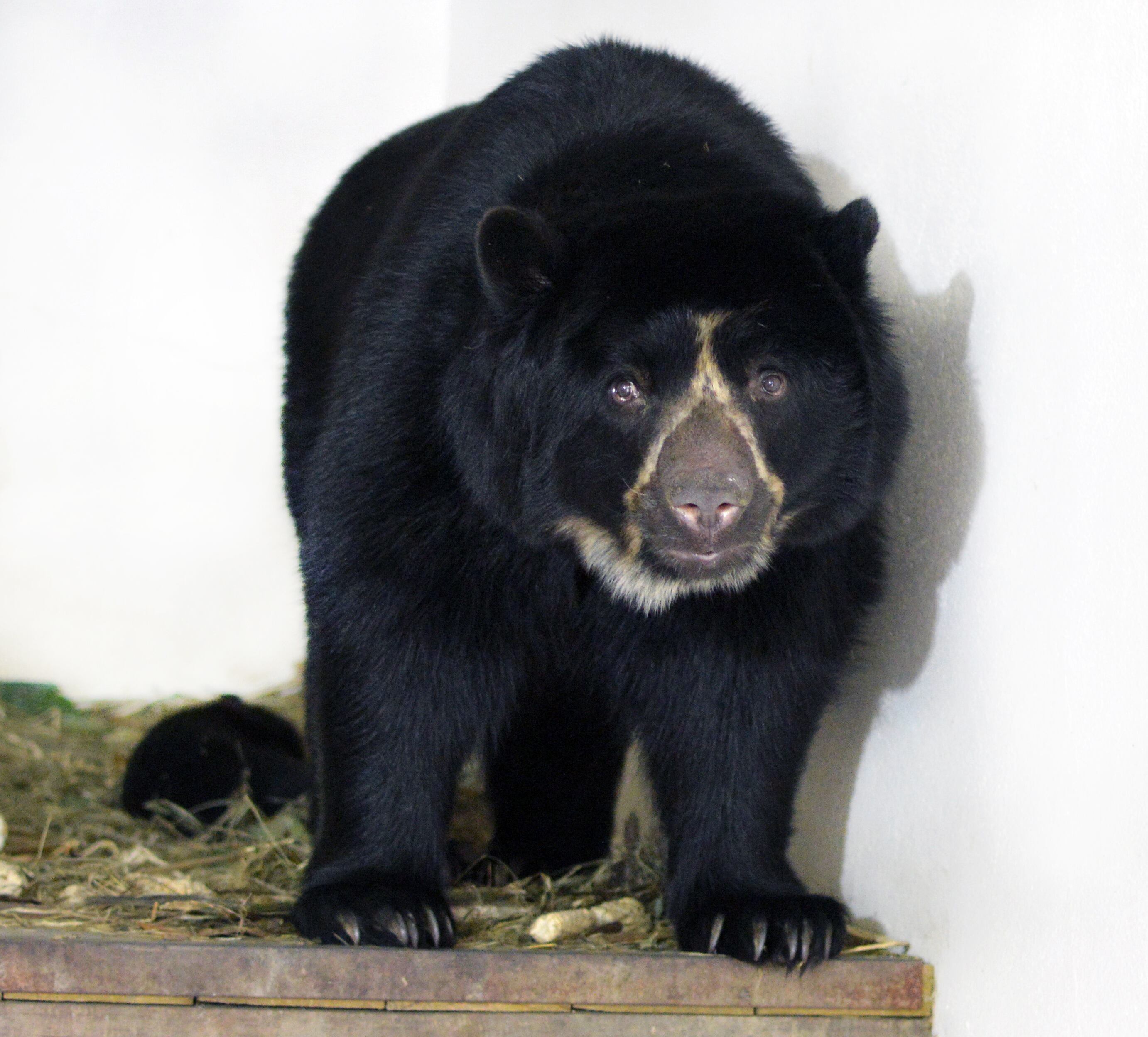 Parque de la Conservación