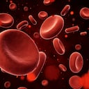 Según la doctora Jennifer Berman, cofundadora del Centro de Medicina Sexual de la Mujer en la Universidad de UCLA (EE. UU.), el orgasmo aumenta tu circulación ya que hace que la sangre fluya a tu área genital. Esto mantiene tus tejidos sanos.