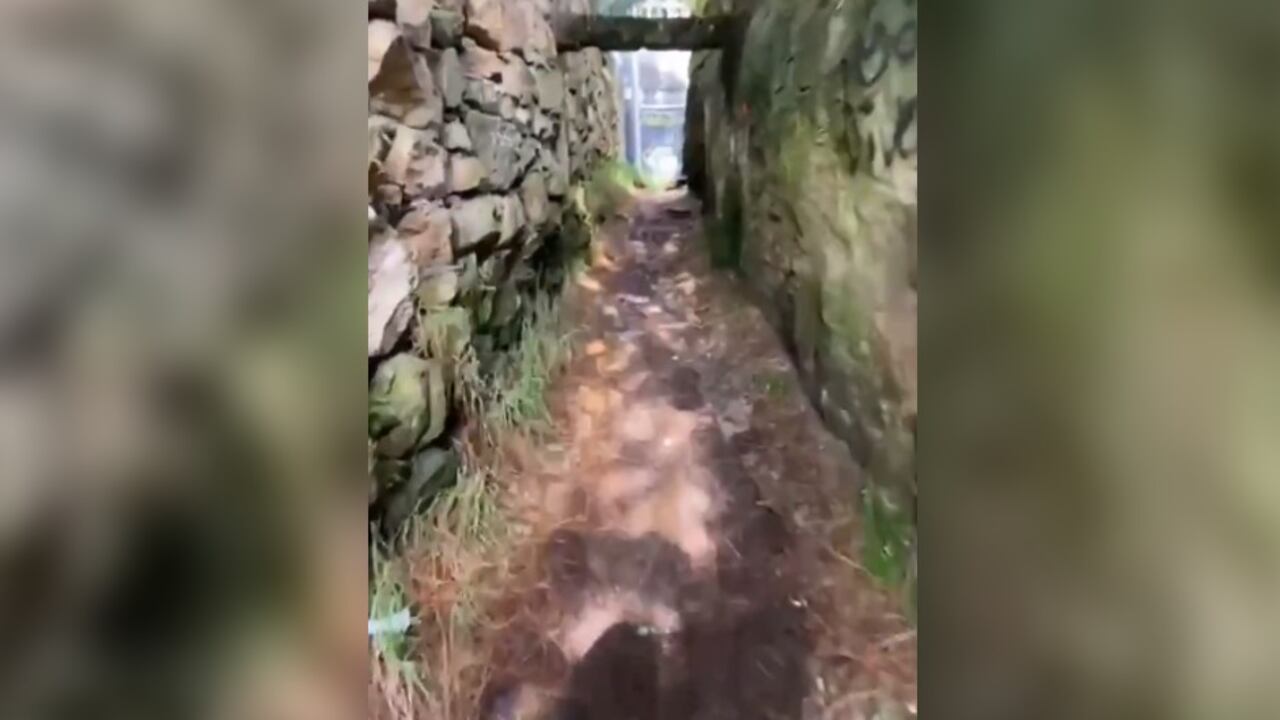 Caminos que recorren habitantes de Chapinero Alto para llegar a la vía de la calera