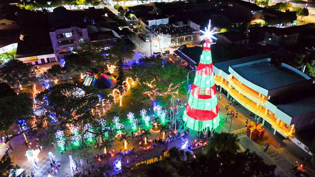 Entre los atractivos más destacados están los árboles de Navidad decorados con esmero, algunos de ellos alcanzando varios metros de altura.