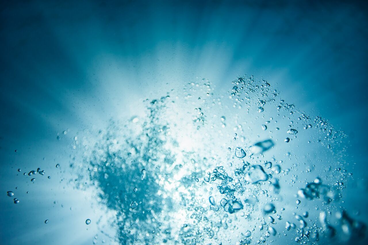 La falta de oxígeno en los océanos amenaza a los peces.