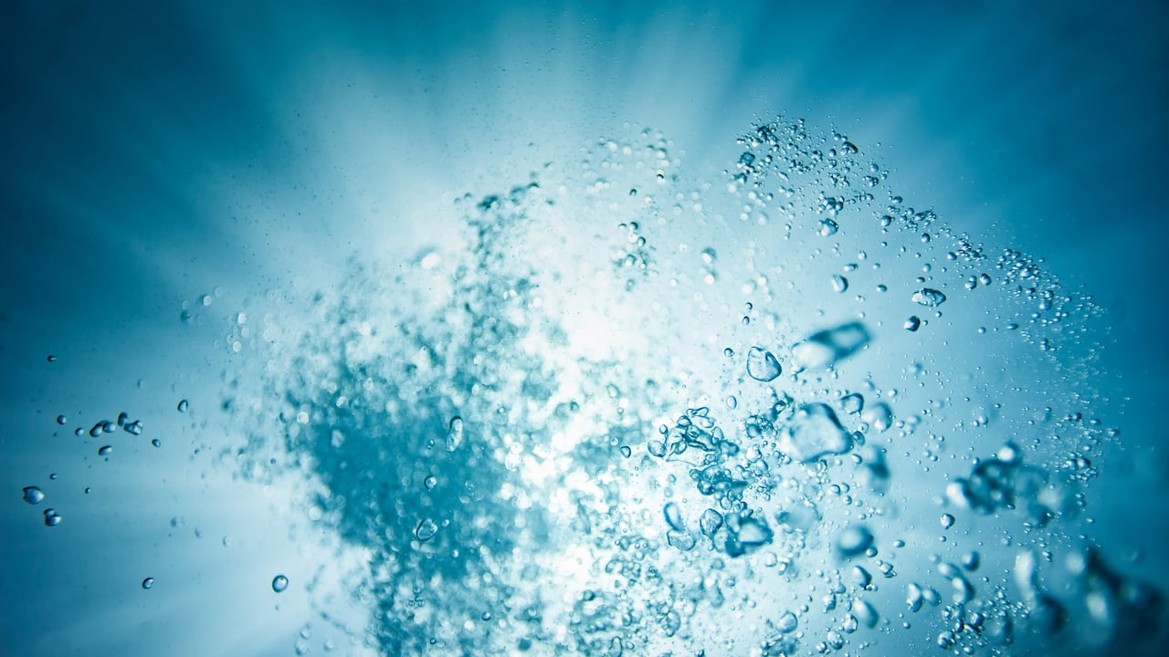 La falta de oxígeno en los océanos amenaza a los peces.