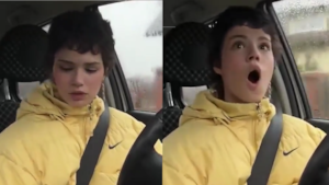 Twitch le suspendió la cuenta a esta mujer que atropelló a un perro mientras realizaba una transmisión en vivo.