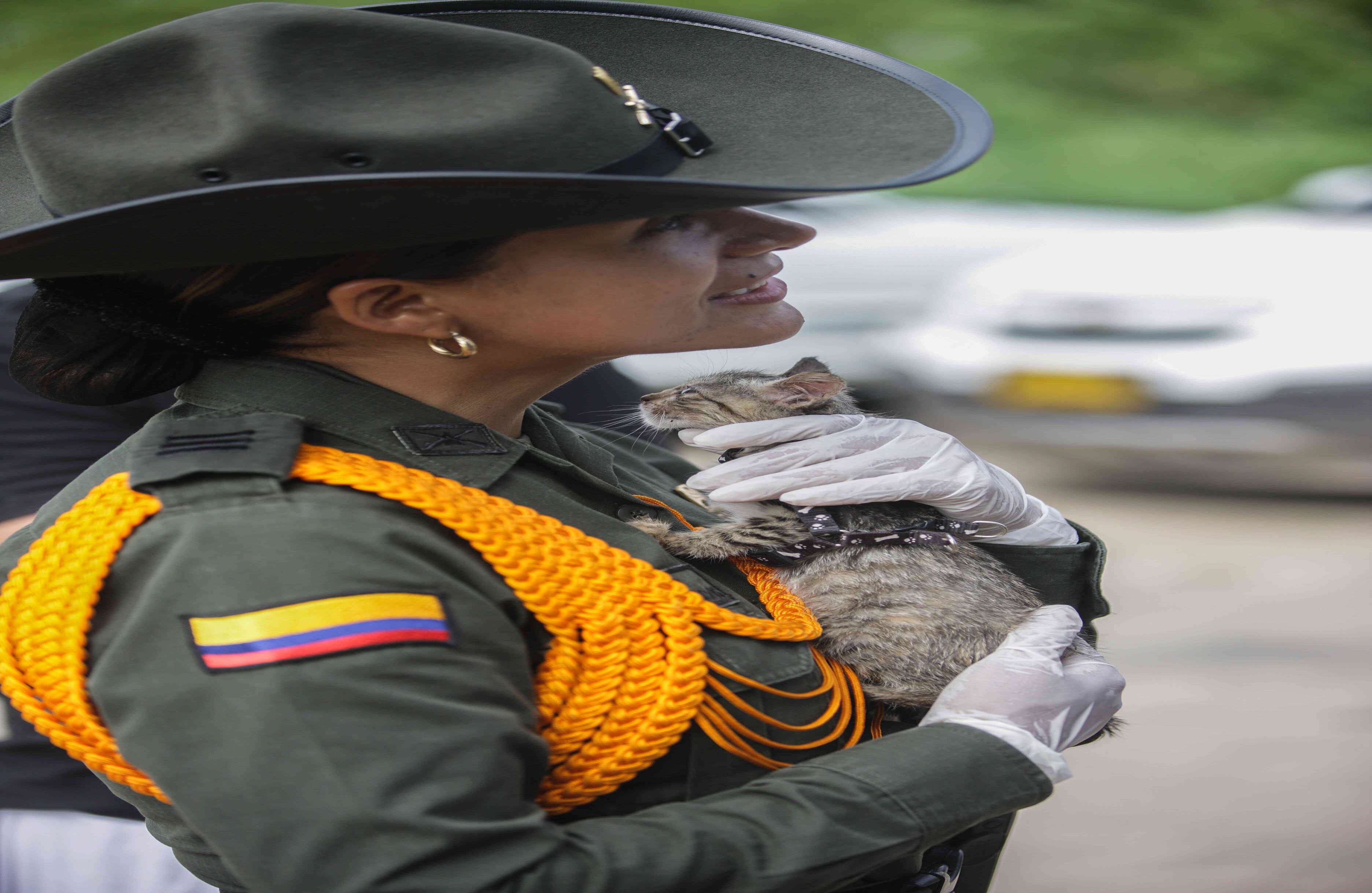 La capitan de la Policia de Carabineros Catalina Díaz, da calor a un gato, el miércoles 5 de abril de 2017, en un refugio provisional en Mocoa, Putumayo, luego de que una avalancha de lodo y piedra —la noche del 31 de marzo— provocada por el desbordamiento de los ríos Mocoa, Mulato y Sangoyaco, matara a por lo menos 301 personas y dejara un número indeterminado de desaparecidos. Foto: Carlos Julio Martínez / SEMANA