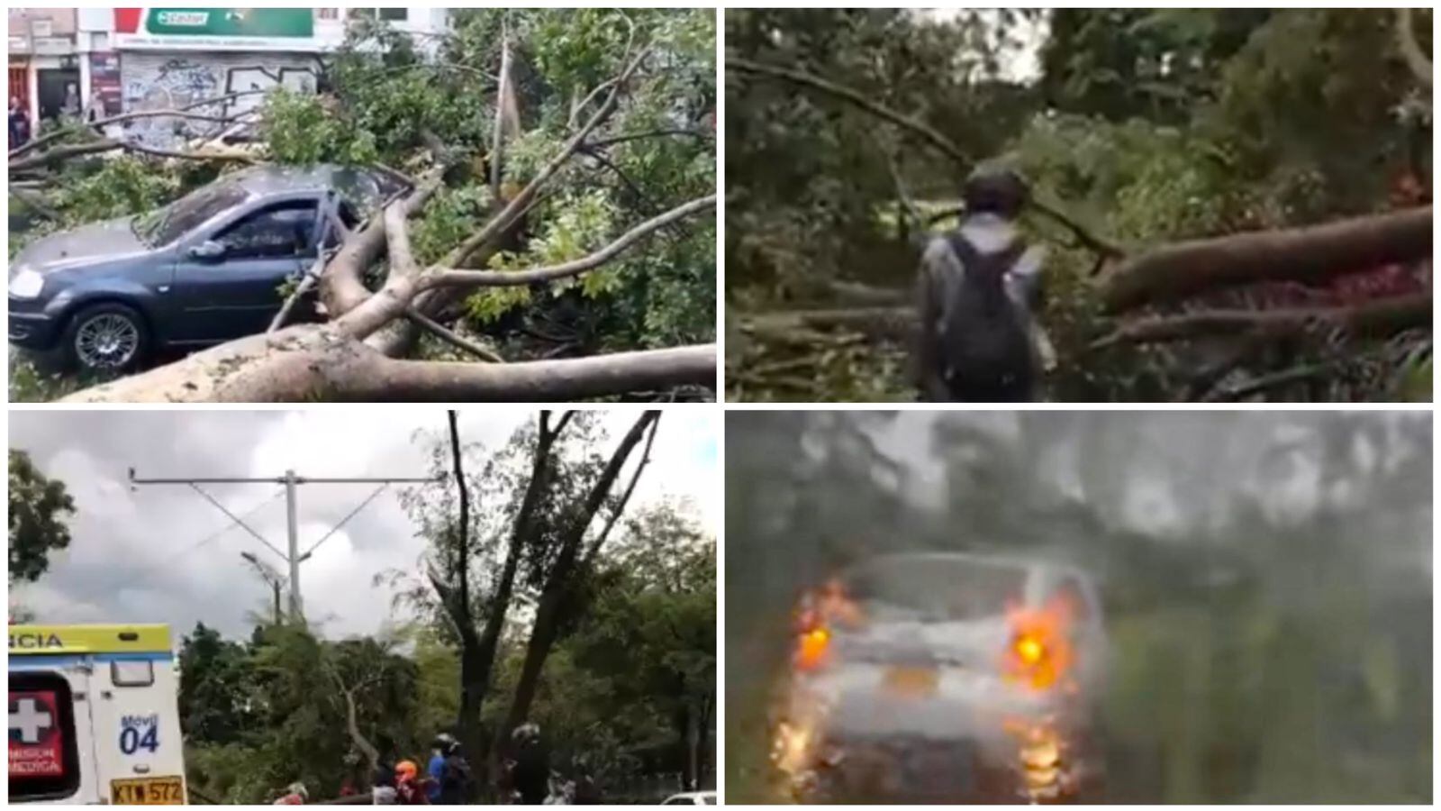 Las fuertes brisas causaron un vendaval que terminó derribando árboles y estructuras