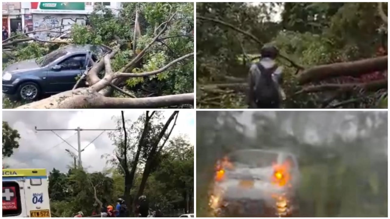 Las fuertes brisas causaron un vendaval que terminó derribando árboles y estructuras