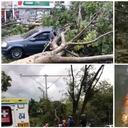 Las fuertes brisas causaron un vendaval que terminó derribando árboles y estructuras