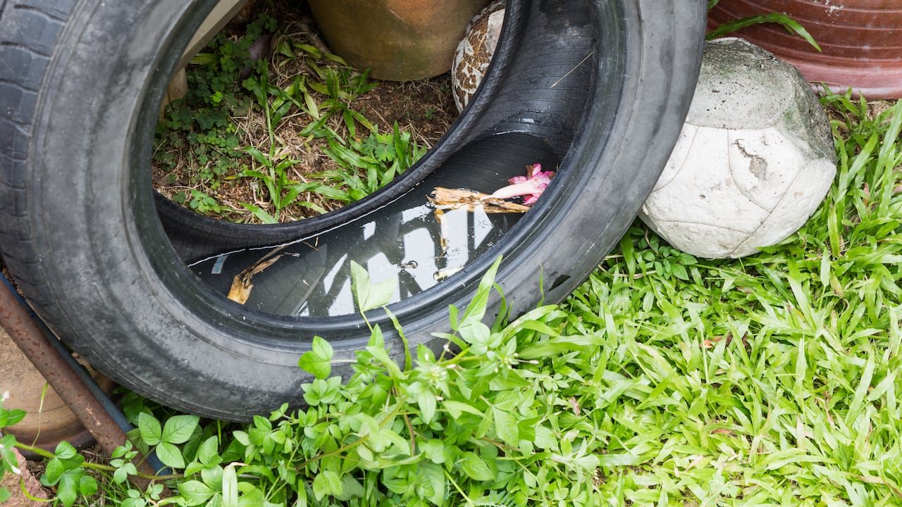 Los neumáticos usados pueden almacenar agua estancada y convertirse en caldo de cultivo de mosquitos