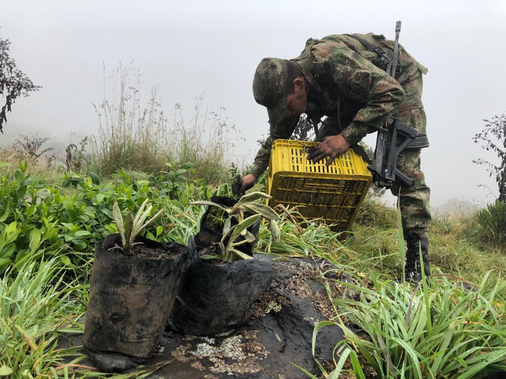 Ejército ha apoyado reforestación de más de 2000 hectáreas del páramo de Ocetá, en Boyacá