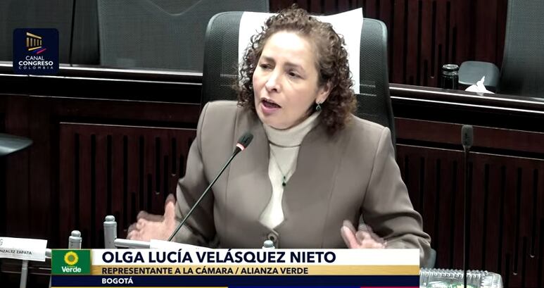 Olga Lucía Velásquez, representante a la Cámara, en el debate a la Ley de Financiamiento.