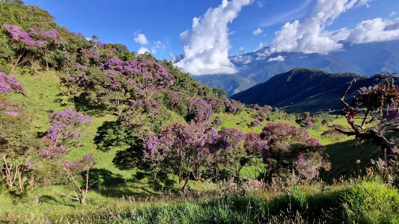 Primera travesía ciclomontañista de Colombia, Gutiérrez, Cundinamarca