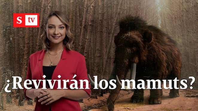 Monica ¿Revivirán los mamuts?