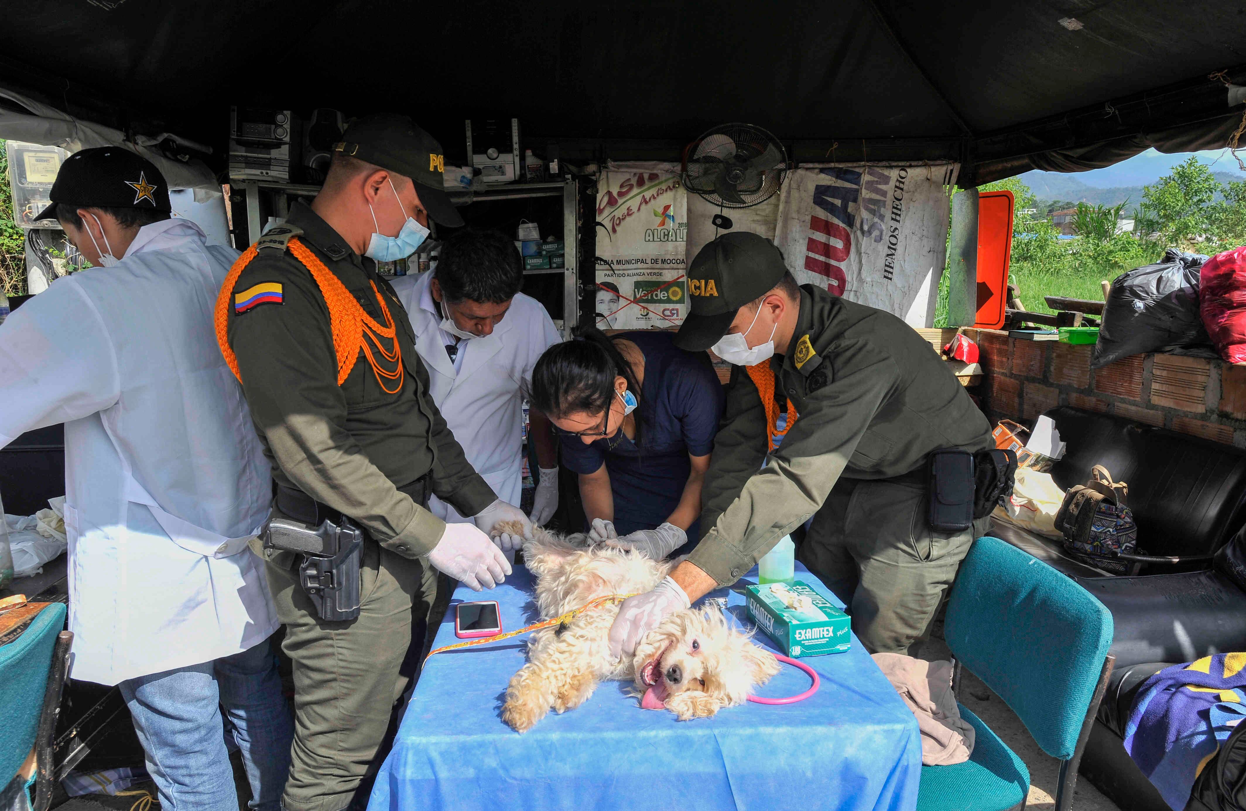 Policías de carabineros y veterinarios, asisten a un perro, el miércoles 5 de abril de 2017, en un refugio provisional en Mocoa, Putumayo, luego de que una avalancha de lodo y piedra —la noche del 31 de marzo— provocada por el desbordamiento de los ríos Mocoa, Mulato y Sangoyaco, matara a por lo menos 301 personas y dejara un número indeterminado de desaparecidos. Foto: Carlos Julio Martínez / Enviado Especial de SEMANA
