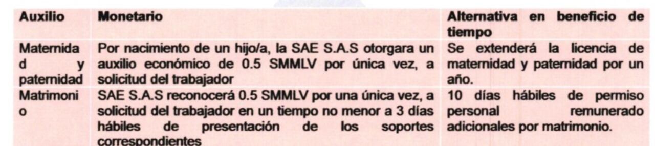 El sindicato de la SAE plantea licencia de maternidad por un año.