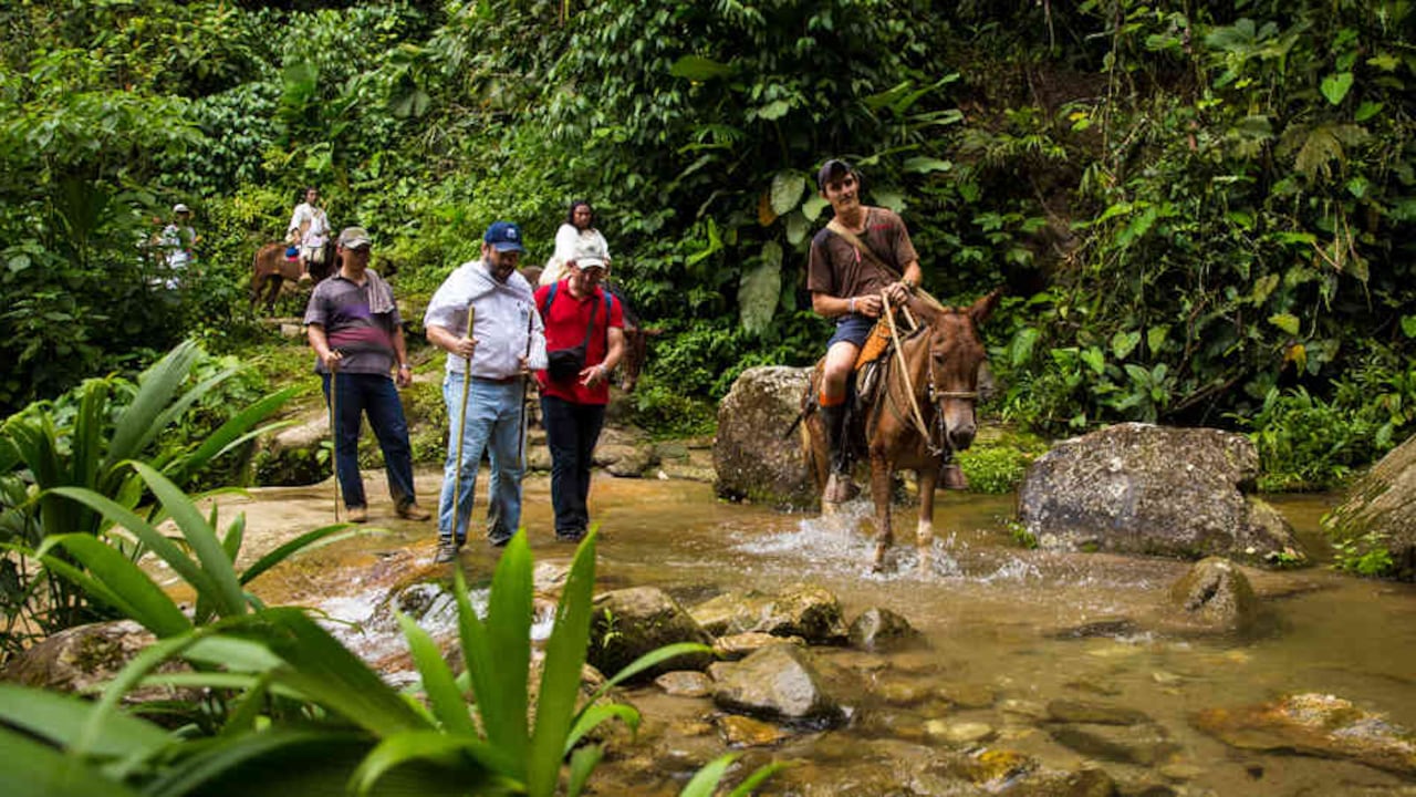 "La misión de esta entidad es velar por la promoción, divulgación y el ejercicio de los derechos humanos de los colombianos y residentes en el exterior."