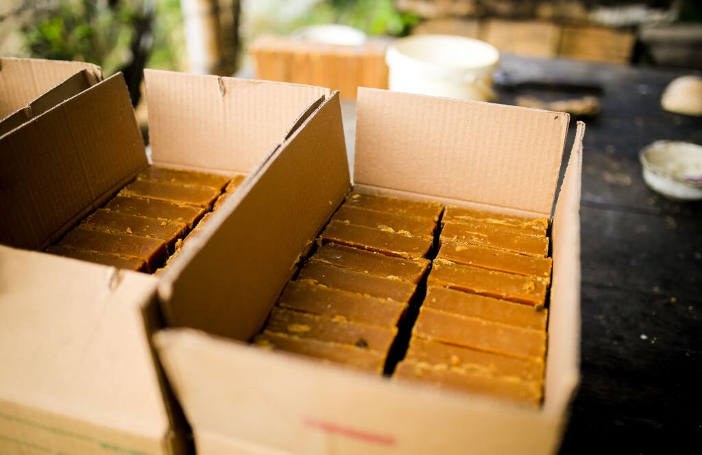 Los agricultores cosechan caña de azúcar y hierven el jugo para ayudar a cristalizar, como lo han hecho durante siglos en Viani, Cundinamarca el 18 de agosto de 2020 (Foto de Juancho Torres/Agencia Anadolu vía Getty Images)