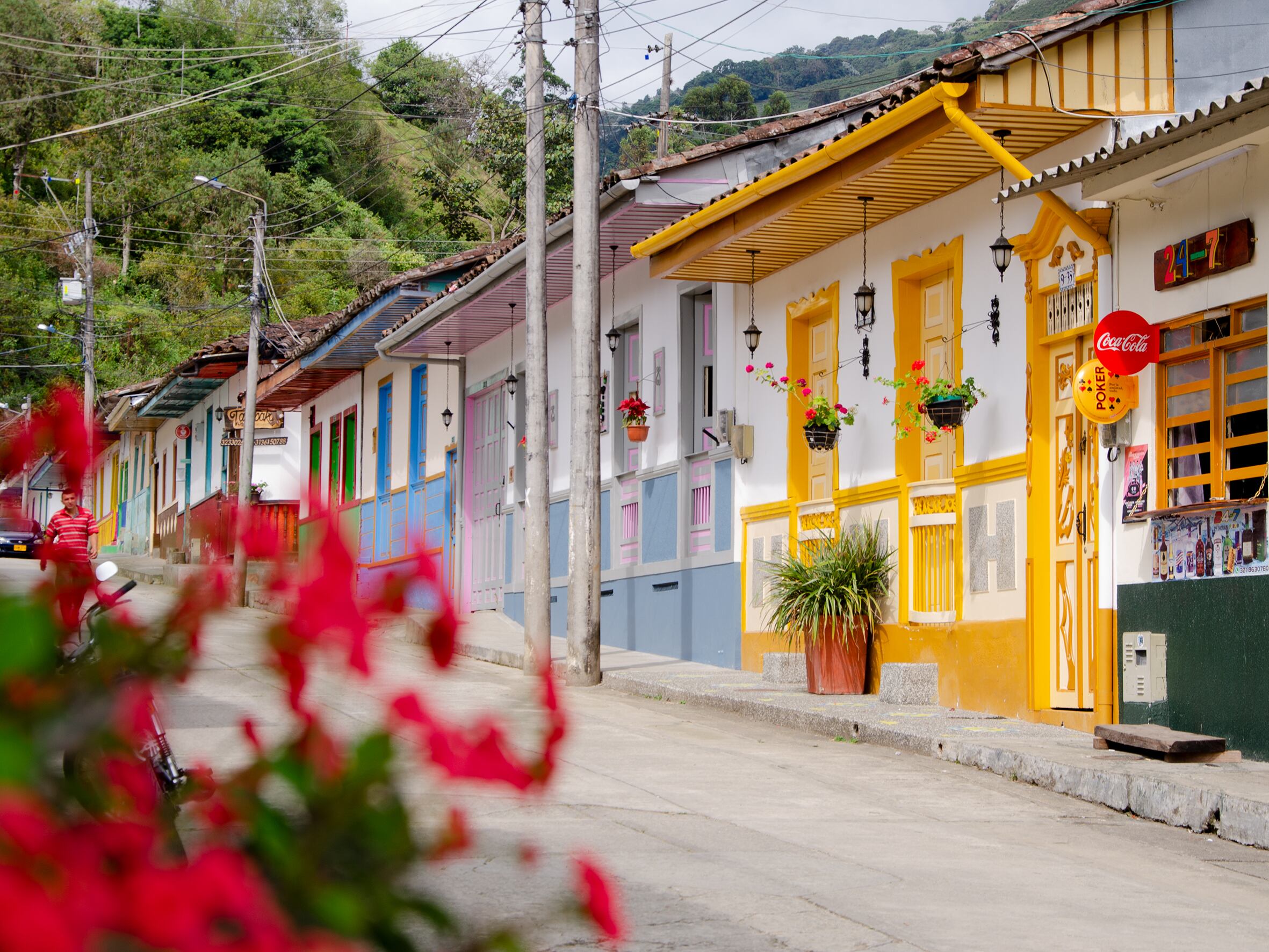 Estas cifras son entregadas por Cotelco
