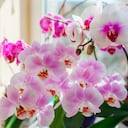 El colombiano considera que la reserva es su centro del placer.