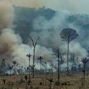 Los incendios registrados en 2019 contribuyeron a la pérdida 10.123 km2 de bosques en la región amazónica brasileña. Foto: Víctor Moriyama / Greenpeace