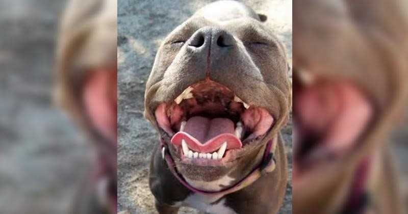 Imagen de referencia.