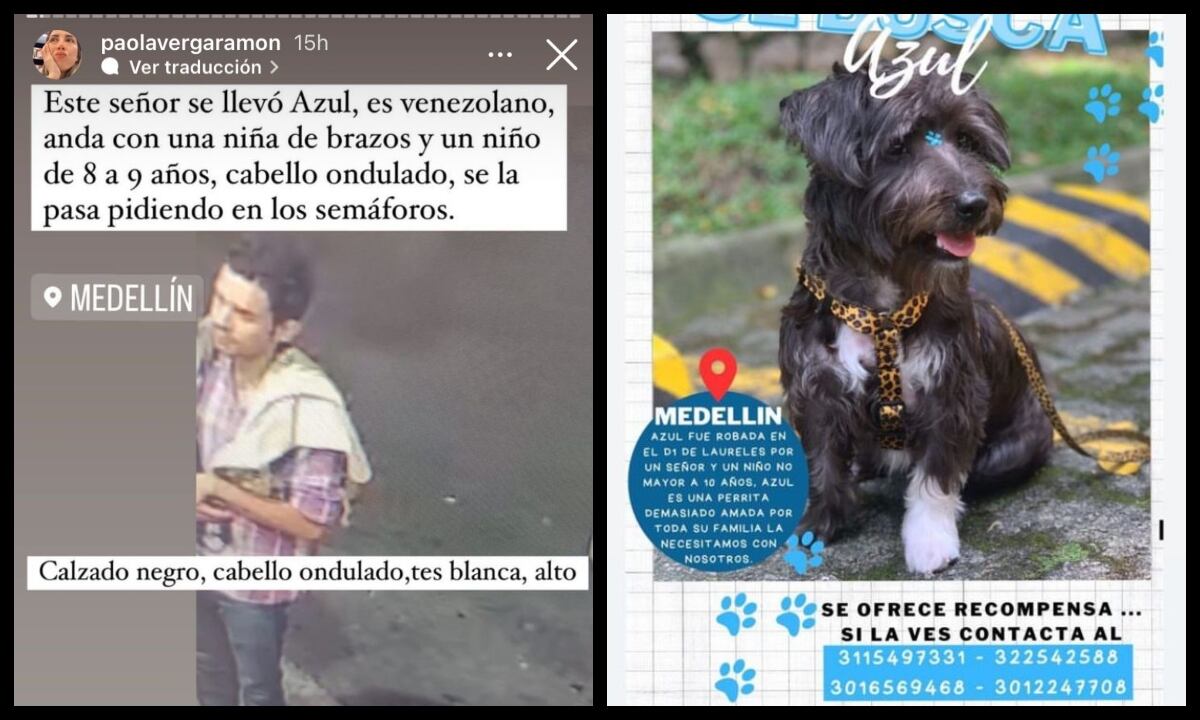 Según Paola Vergara, este es el hombre que le robó a su perrita Azul en Medellín