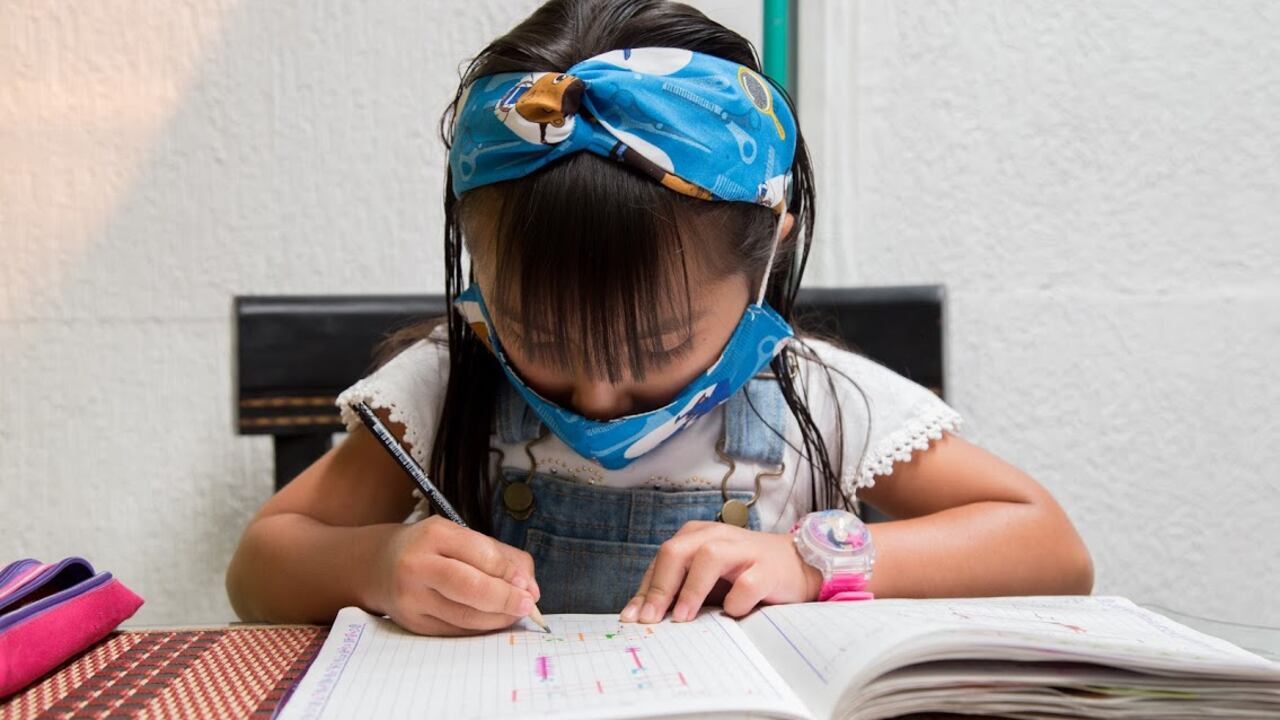 Cientos de miles de niños bogotanos adelantaron su educación en casa por el cierre de escuelas.