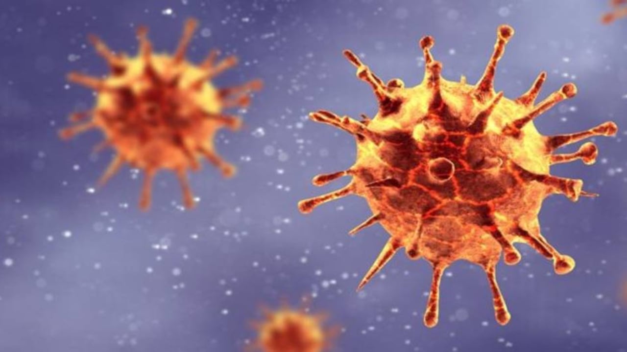 Se registró una mutación que no aparece en las 3.592 secuencias genéticas del SARS-CoV-2 que están registradas