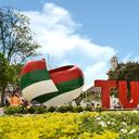 Tuluá registra fuertes enfrentamientos.