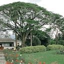 Hacienda El Paraíso, en el Valle del Cauca.
Foto: James Arias.