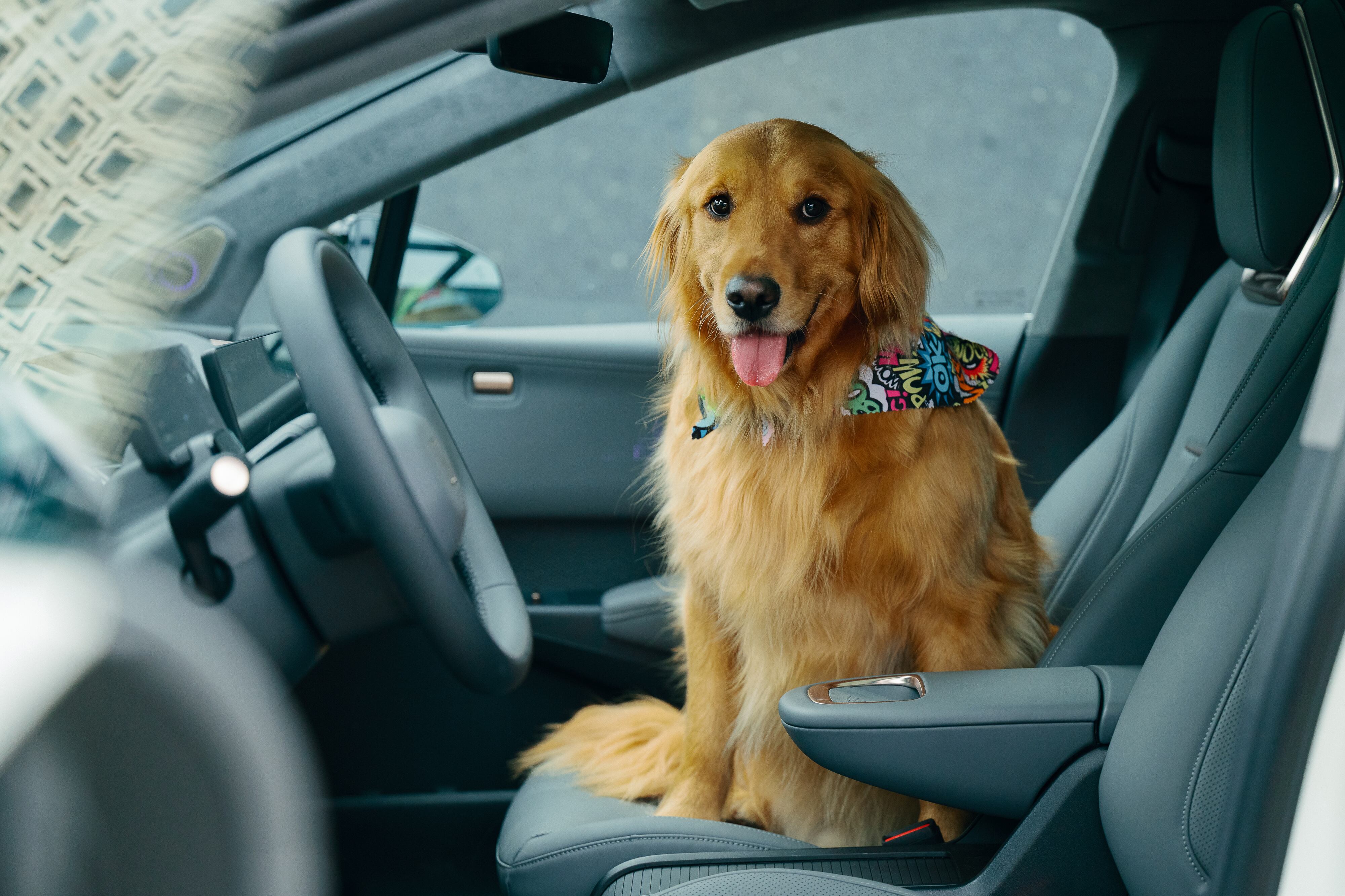 El modo mascota es una novedad y garantiza una temperatura adecuada para los animales dentro del habitáculo.