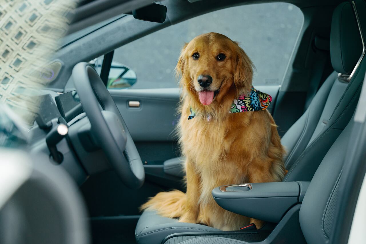 El modo mascota es una novedad y garantiza una temperatura adecuada para los animales dentro del habitáculo.