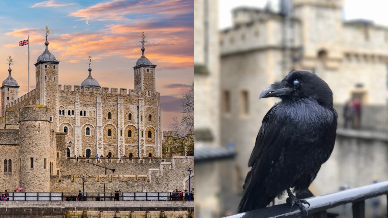 Esta profecía se conoce desde hace muchos años.