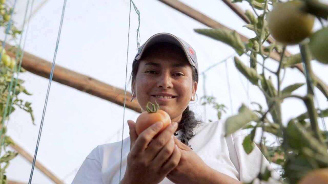Las mujeres en el campo se han convertido en un factor cada vez más importante para la productividad rural.