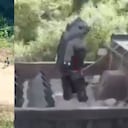 En las imágenes se ve a los niños jugando y después un uniformado desactivando los explosivos.