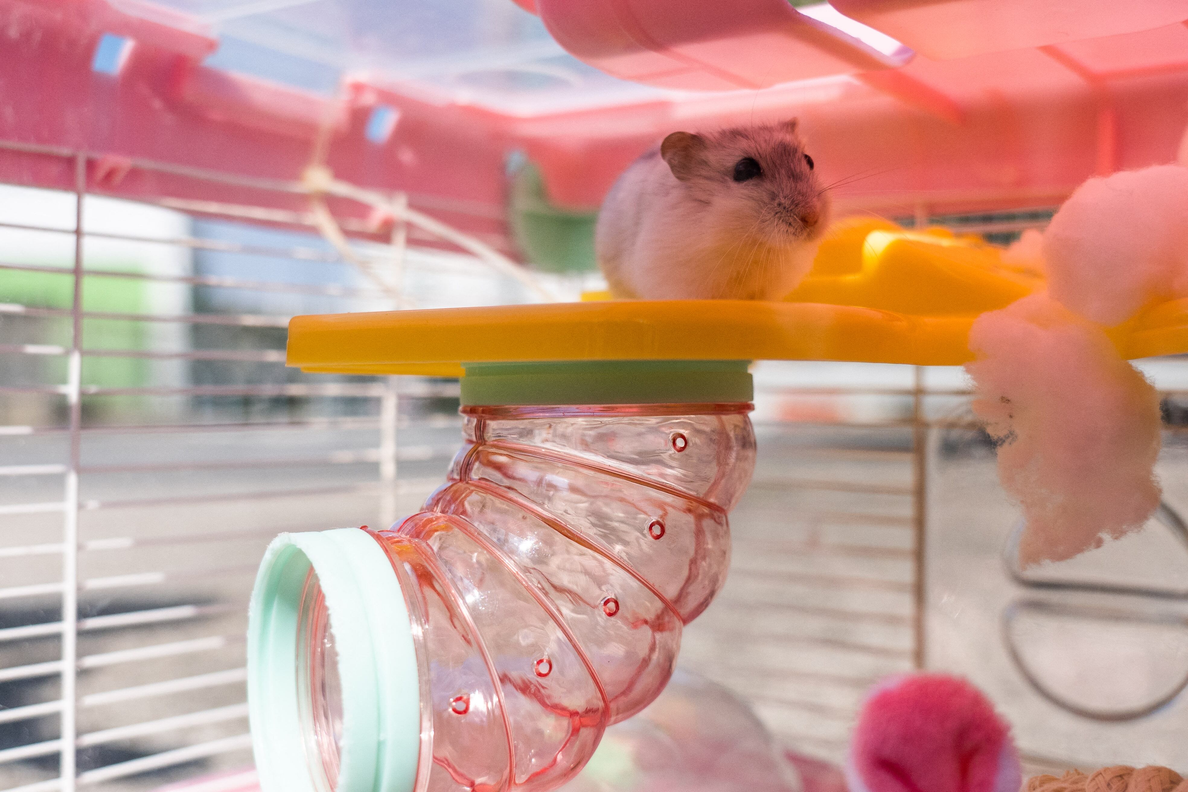 (Photo by Bertha WANG / AFP)