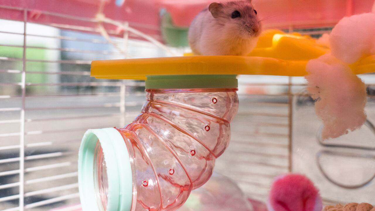 (Photo by Bertha WANG / AFP)