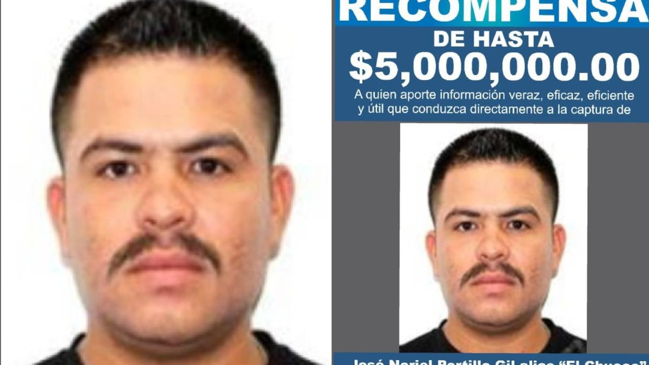 La fiscalía de Chihuahua dijo en ese momento que antes de asesinar a los sacerdotes, Portillo agredió a otras dos personas tras tener diferencias por un partido de béisbol.