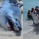 X:@matttttt187 (API)