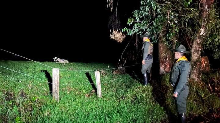 Se siguen implementando controles en todos los expendios de carne y plazas de mercado del Quindío